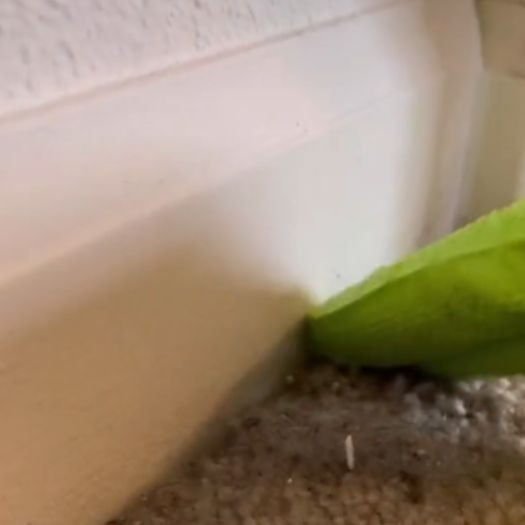 2. Rimuovere la polvere da tappeti e tappezzeria