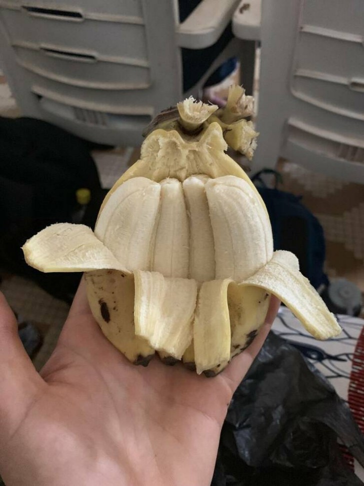 5. La banane de taille familiale