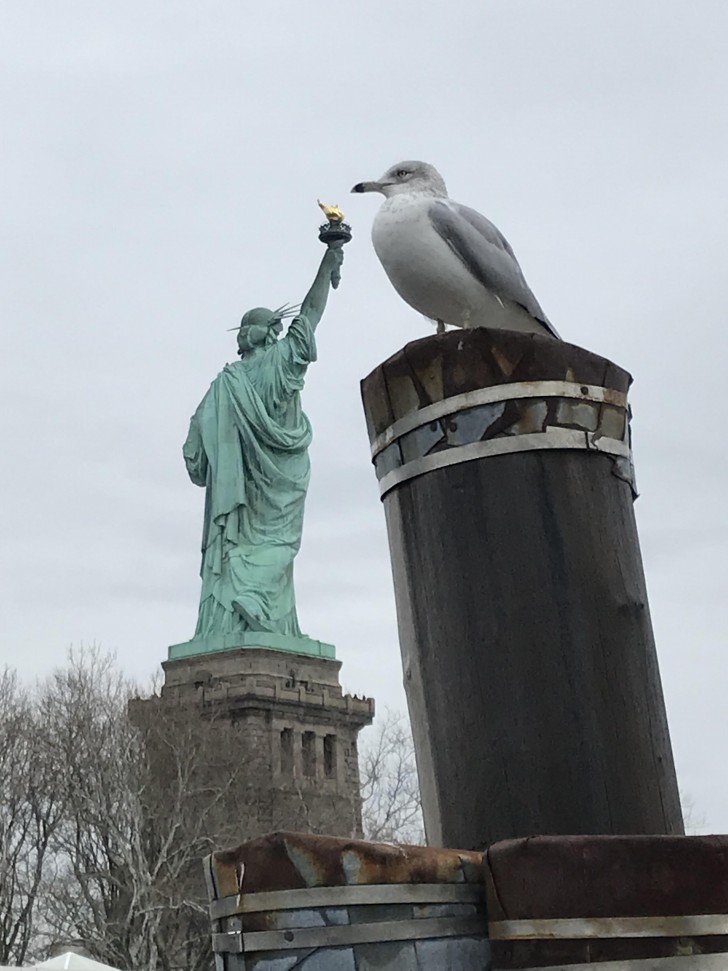 14. Statua della Libertà