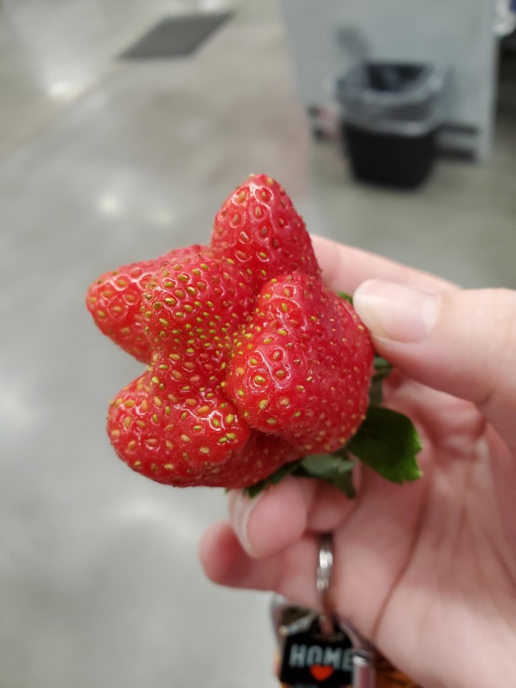 3. Erdbeere