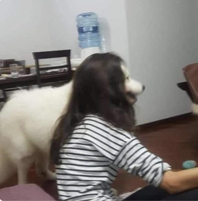 9. De hond met het lange haar of het meisje met het gezicht van een hond