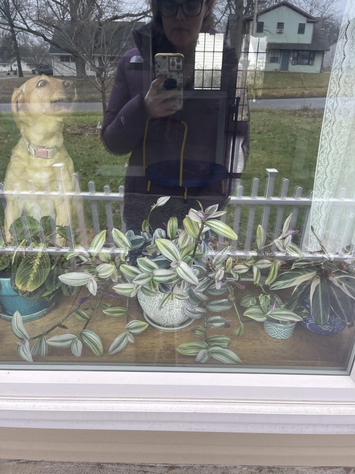 5. "Je prenais des photos de mes plantes, mais mon chien voulait poser"