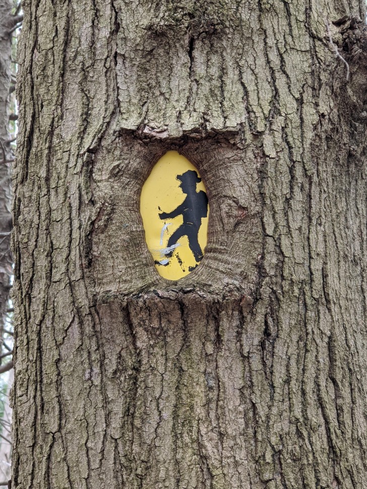 12. "Dieser Baum hat dieses Schild gefressen, aber eine Lücke für den kleinen Wanderer gelassen"