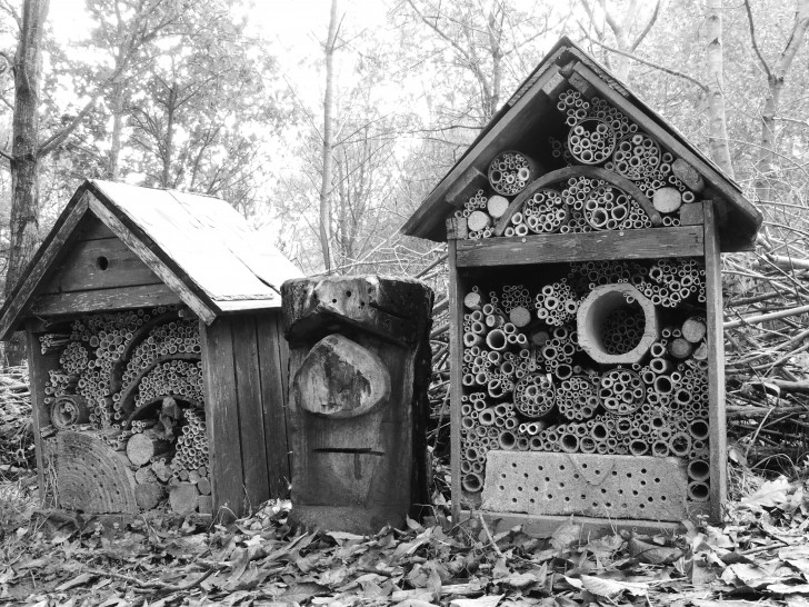 11. La maison des abeilles
