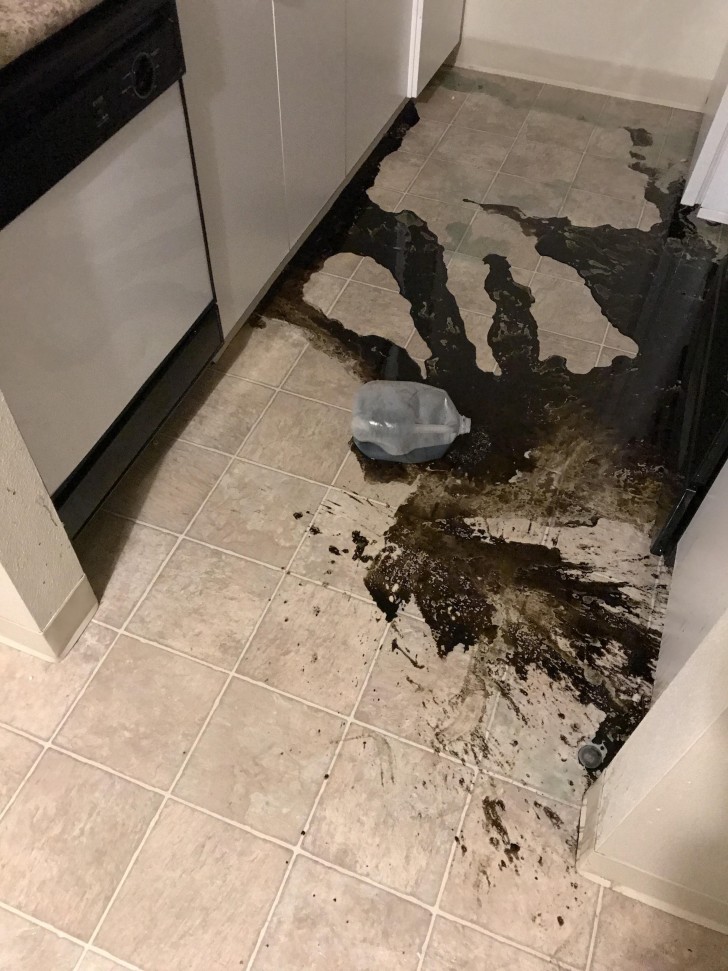10. "Le chat a renversé un litre d'huile de moteur usagée sur le comptoir de la cuisine vers minuit"