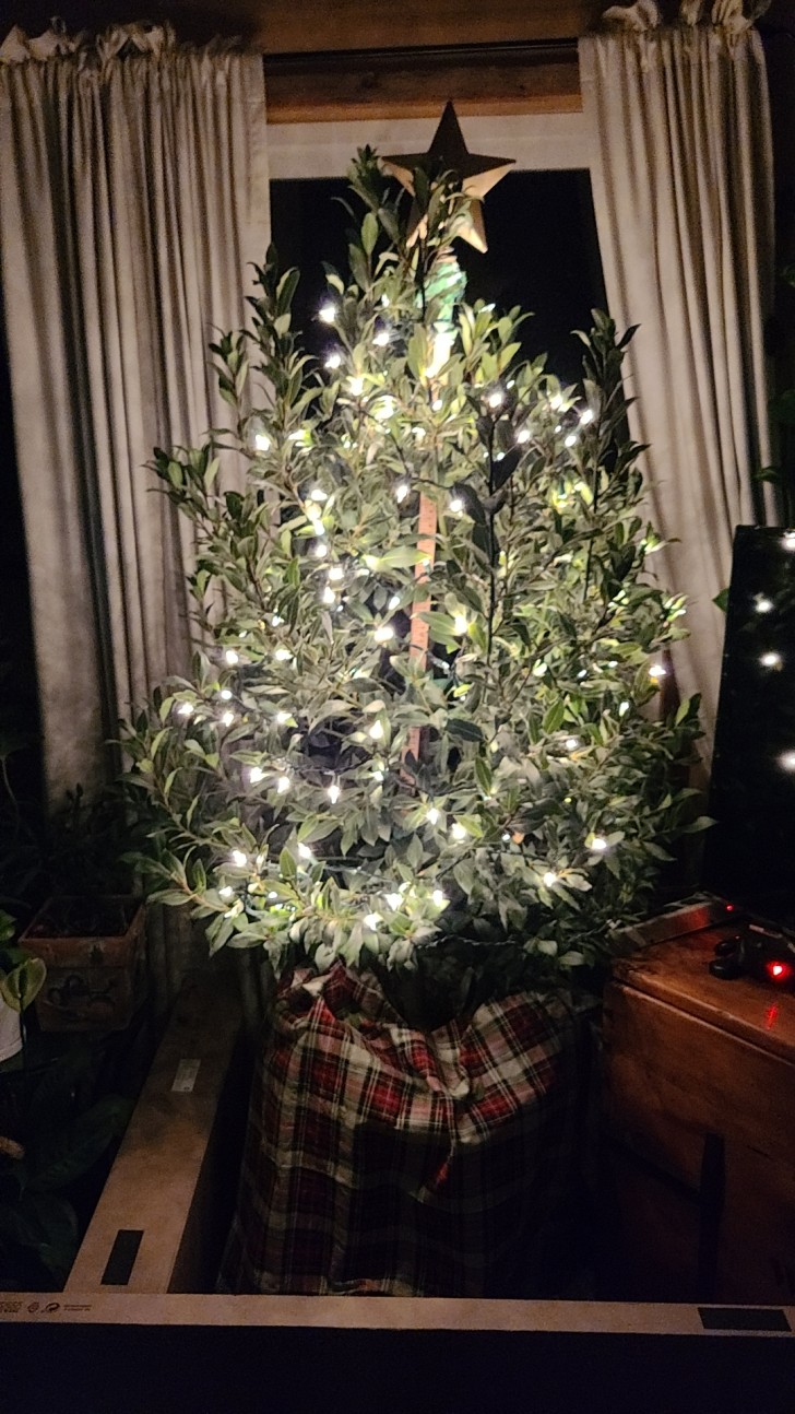 3. Warum einen Weihnachtsbaum kaufen, wenn man das verwenden kann, was man zu Hause hat?