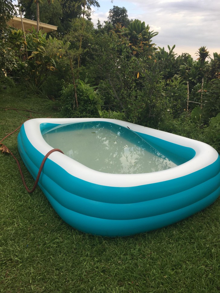 4. Das Schwimmbad im Garten