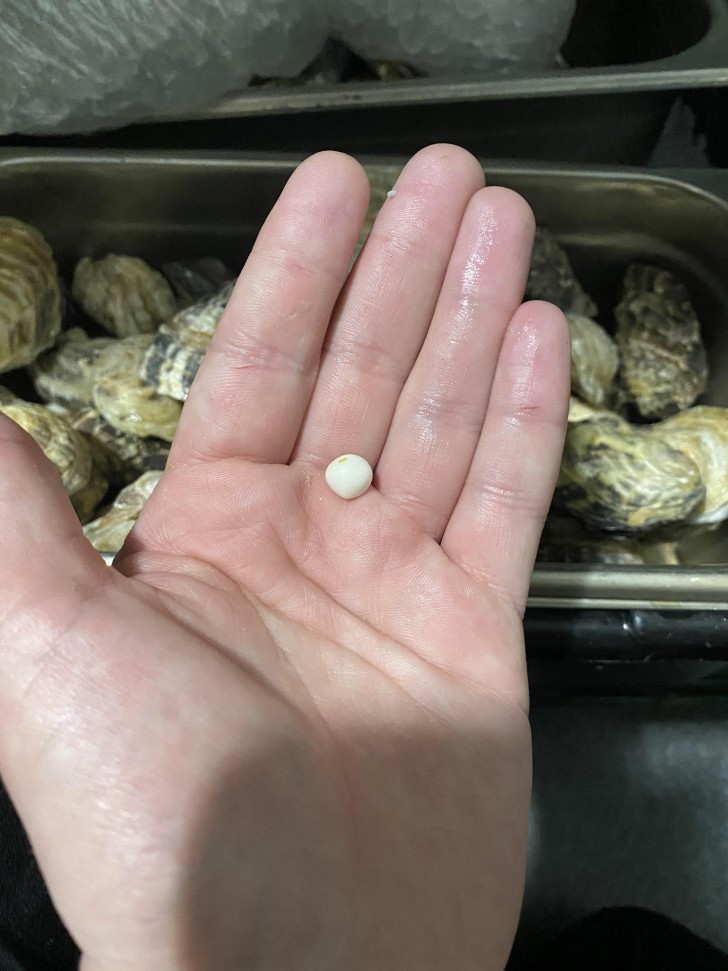 8. La perle dans les huîtres
