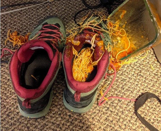 14. "Ik heb spaghetti in mijn schoen gemorst..."