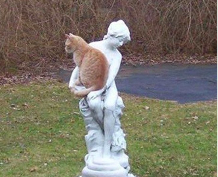 13. De kat en het standbeeld