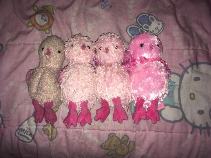 11. Peluches