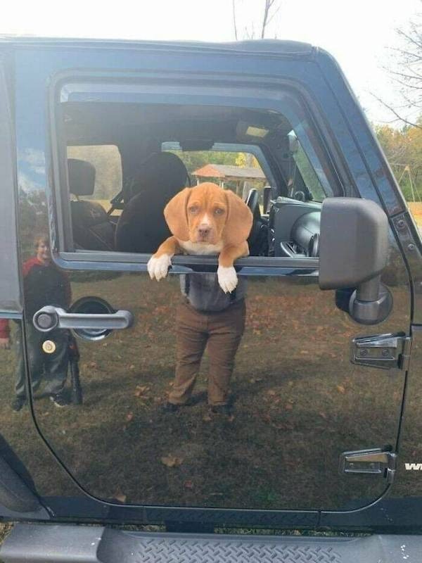 1. Com'è possibile che abbia un corpo umano?