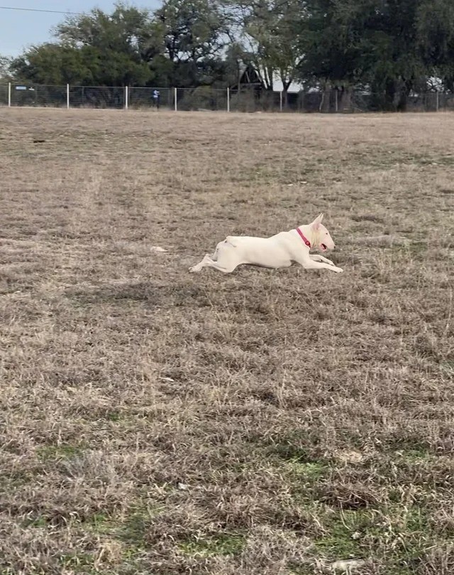 8. Non è affatto come sembra