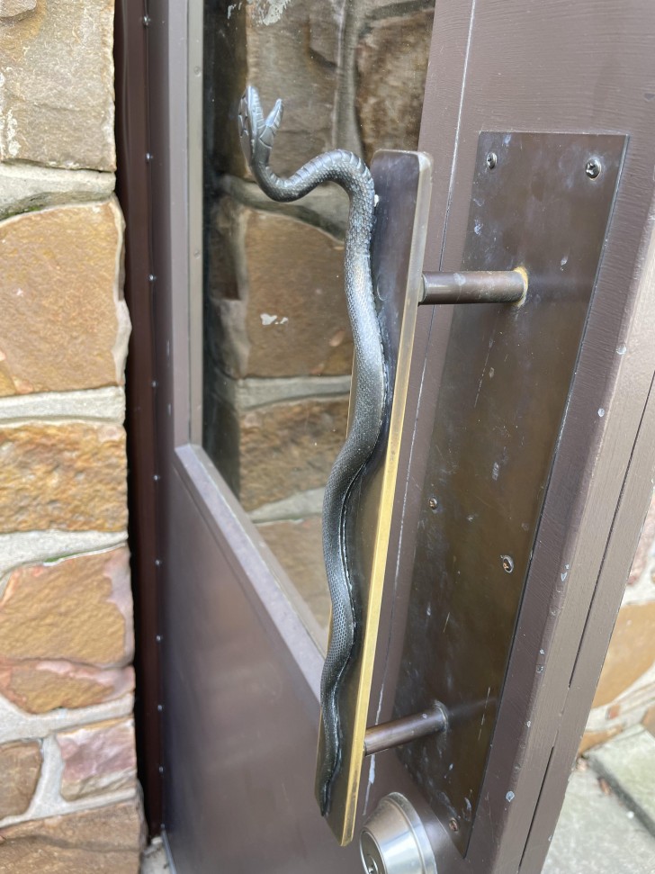 3. Dörrhandtaget till vår djurparks reptilhus är en orm