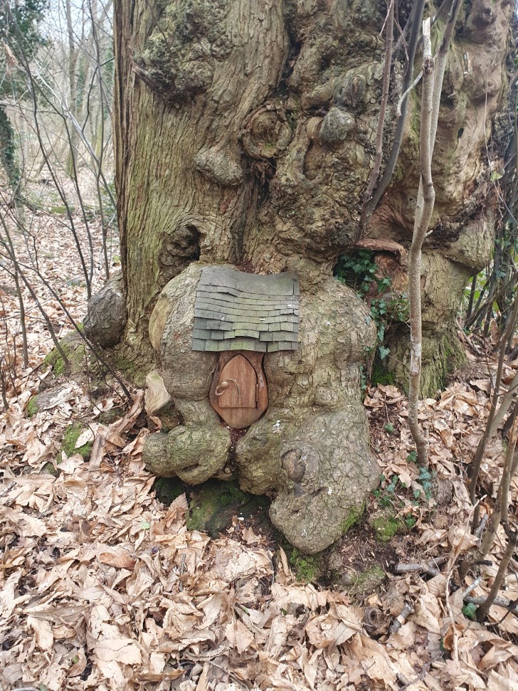 11. La piccola casa nell'albero