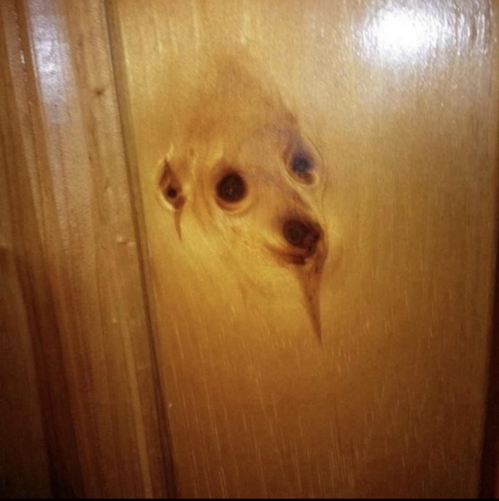 4. Het hout boven deze deur lijkt de vorm van een hond te hebben aangenomen