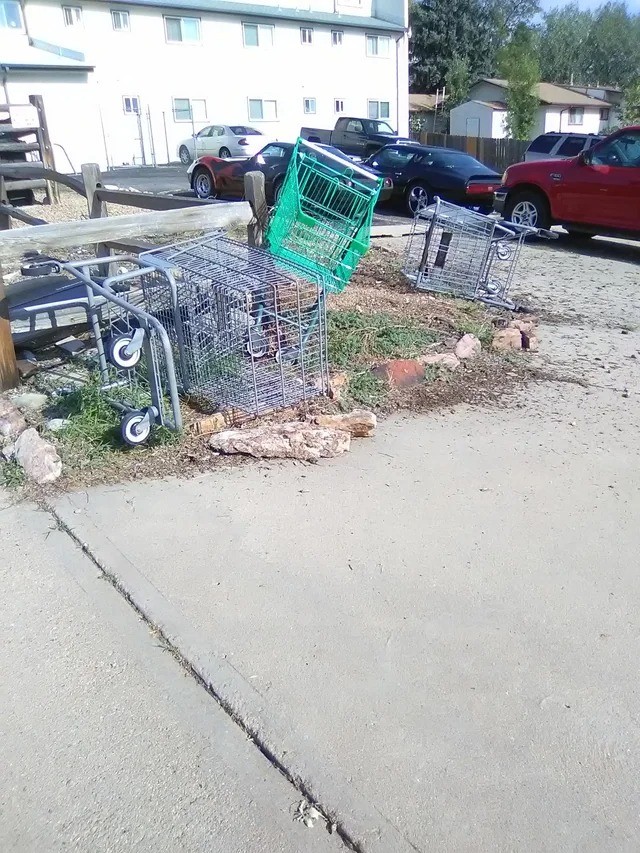 12. Muchas personas "tiran" los carros de las compras por todas partes en lugar de devolverlos a su lugar.