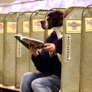 8. Ce n'est pas tous les jours que l'on voit un chien assis en train de lire