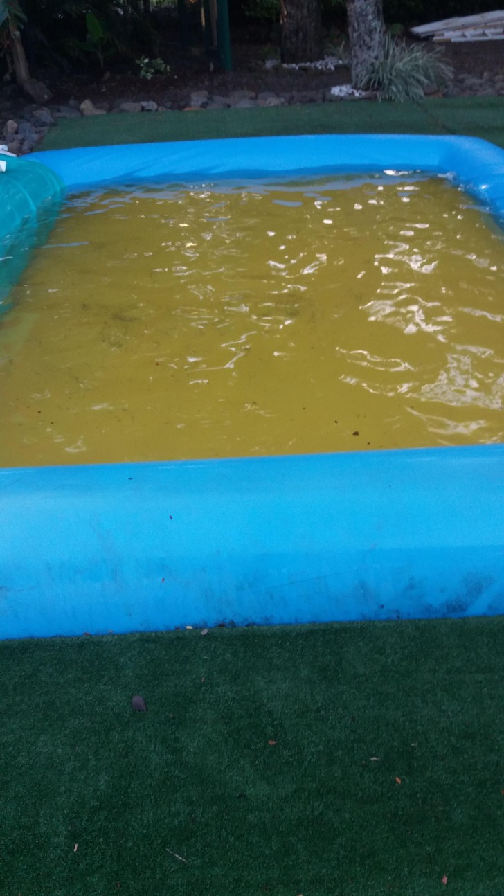 7. Jemand hatte die glänzende Idee, eine gelbliche Matte auf den Boden des Pools zu legen