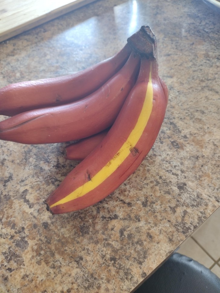 3. "L'une des bananes rouges que je viens d'acheter a une bande jaune"