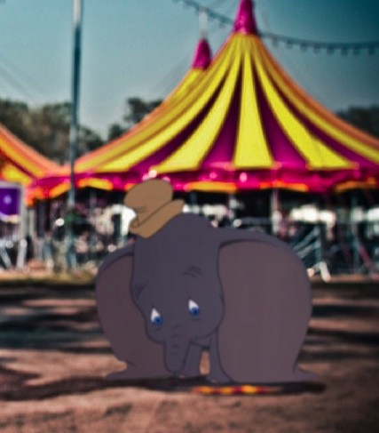4. Dumbo che nel film fugge dal circo, oggi non avrebbe altro destino se non quello di esibirsi sotto il tendone