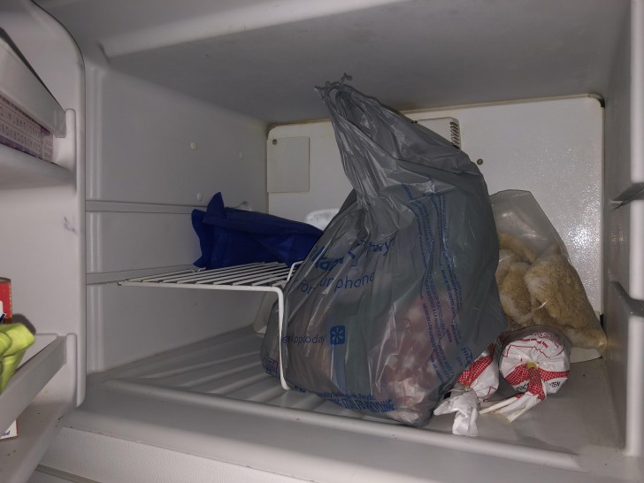 4. La spesa nel freezer