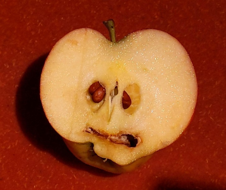 11. Ett ansikte i äpplet
