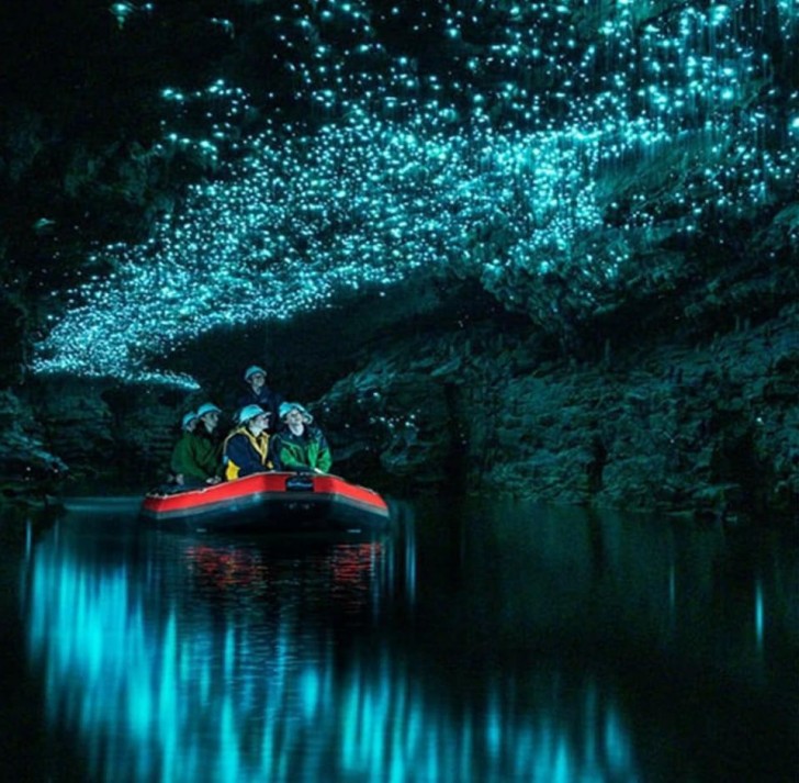 2. Waitomo Caves: grottor med suggestiv vy