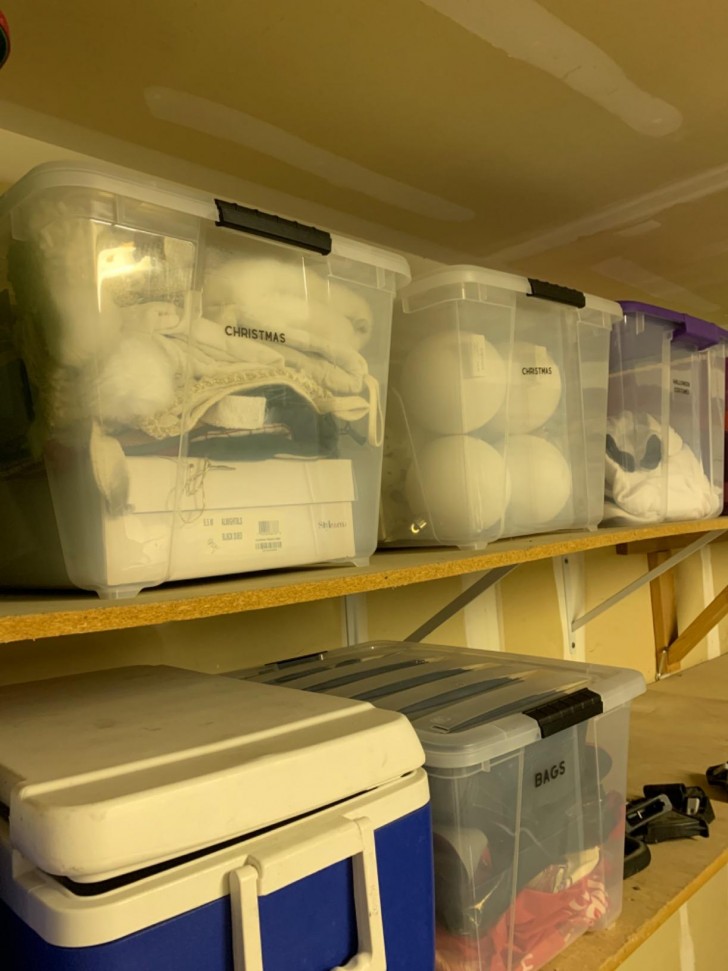 Cranio Creations - Magic Rabbit - Gioco Cooperativo In Tempo Reale Per 1-4 Giocatori - Edizione Italiana