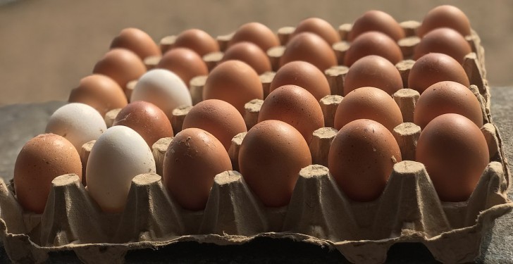 Waar moeten eieren thuis worden bewaard?