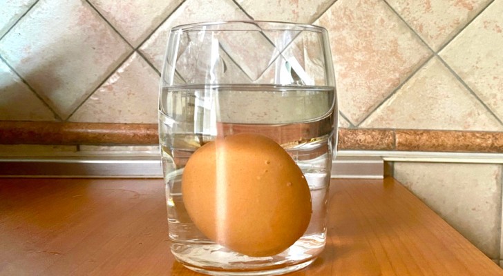 Manche Hausfrauen legen das Ei in ein Glas, bevor sie es kochen: Jeder sollte wissen, warum. - 3