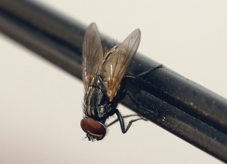 Wie man den mit Wasser gefüllten Beutel herstellt