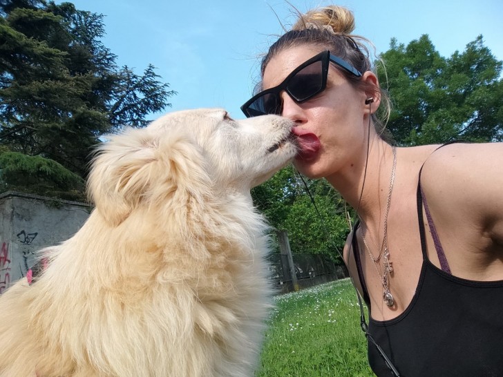 Sich von Hunden das Gesicht küssen lassen: ja oder nein?