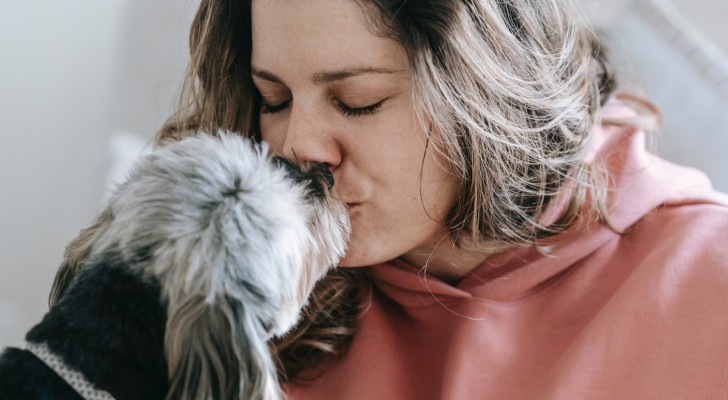 Het definitieve antwoord van de experts