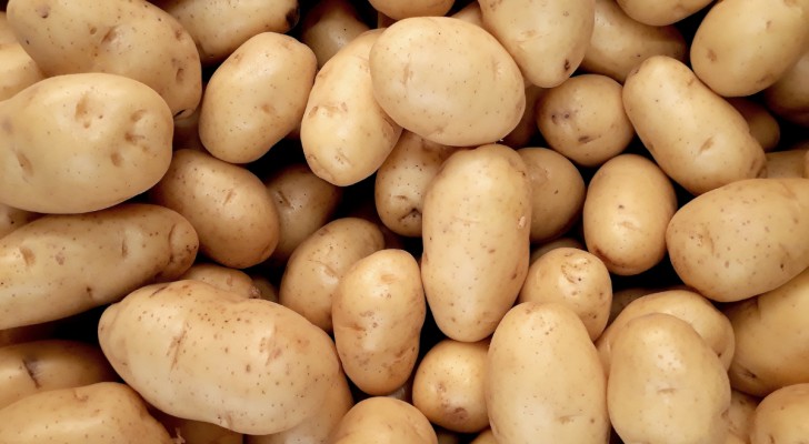 Kartoffeln für die Glasreinigung: die billige und natürliche Methode