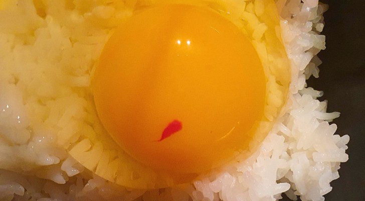 Le uova che contengono macchie di sangue si possono mangiare? La verità
