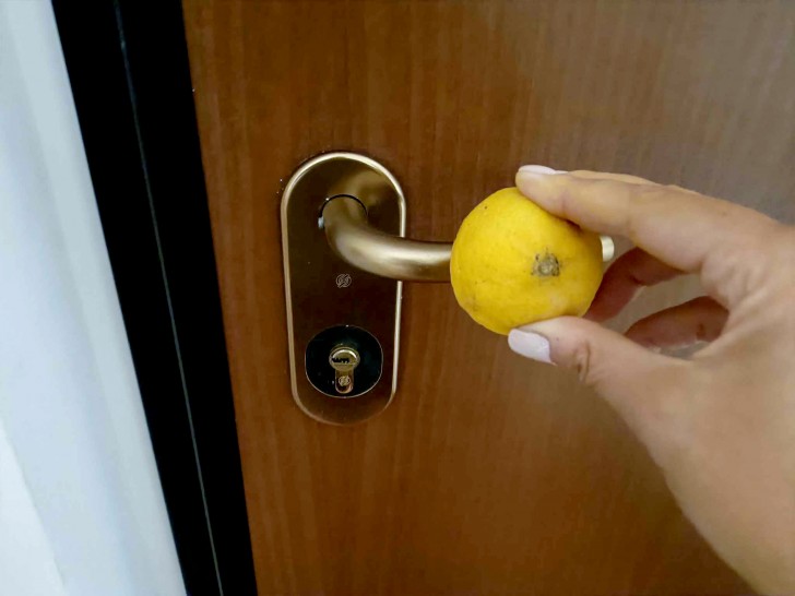 Många människor gnuggar citron på handtaget innan de går och lägger sig, varför? - 2
