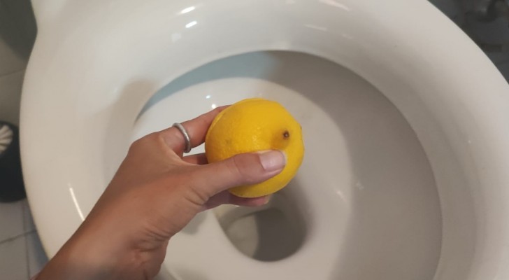 Knepet med citron för att sanera toalettstolen: tillvägagångssätt