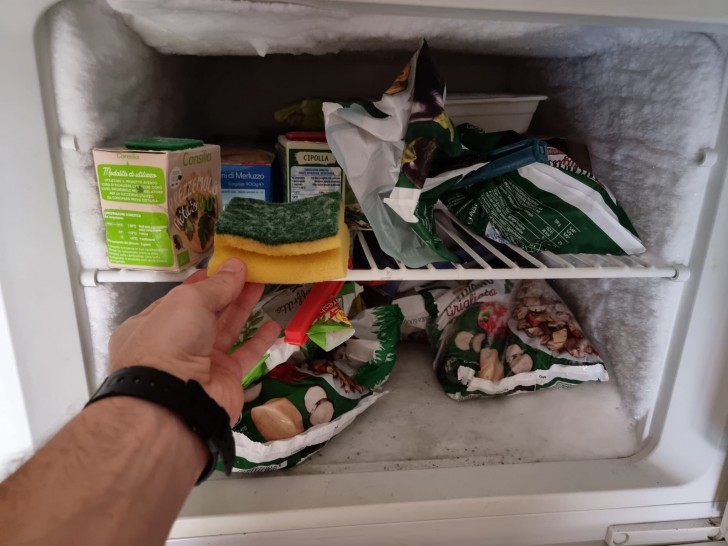 Spugna per piatti nel congelatore: il motivo per cui in tanti lo stanno facendo è geniale - 1