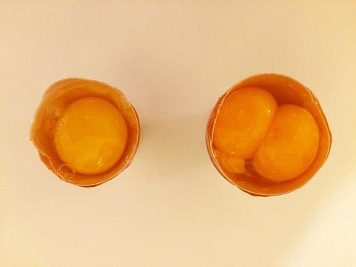 Si possono mangiare uova con due tuorli?