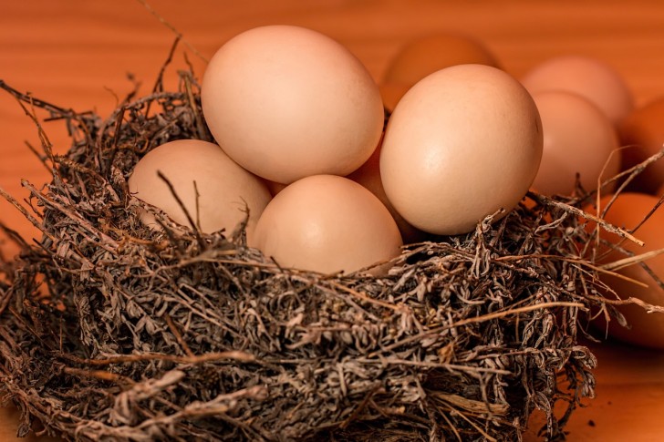 Eier: Achten Sie auf diese Zeichen