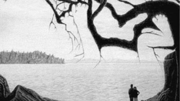 Optisk illusion: är du tillräckligt observant för att se den nyfödda bebisen? - 1
