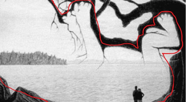 Optisk illusion: är du tillräckligt observant för att se den nyfödda bebisen? - 3