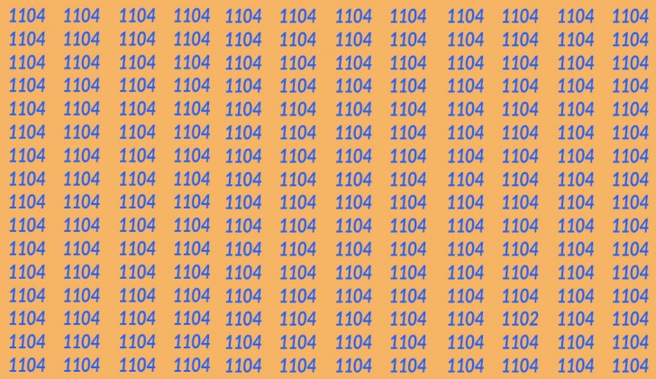 Visuele test: vind het nummer 1102 in slechts 10 seconden