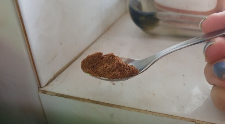 Le altre sostanze naturali per sbarazzarsi delle formiche in casa