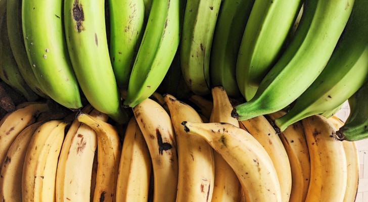 Groene bananen: wel of niet eten?