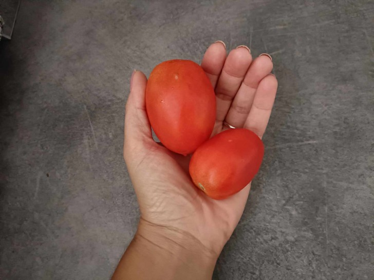 Doe jij je tomaten in de koelkast? Beter is het om dat niet te doen!