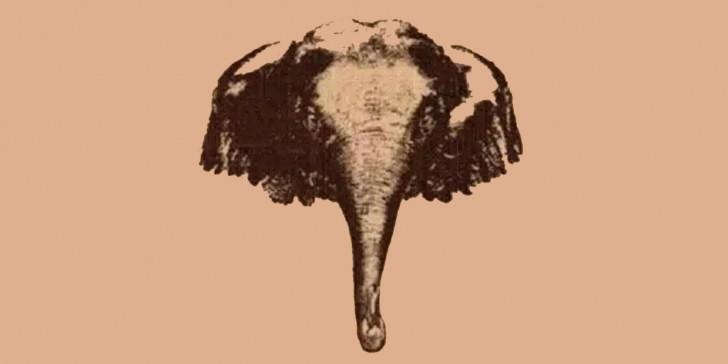 Optische illusie: is er slechts één olifant op de afbeelding of niet?