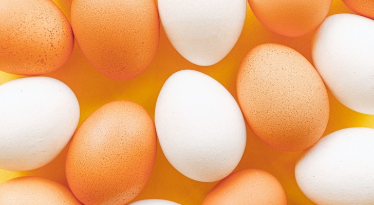 Scegli sempre uova fresche e da fonti sicure
