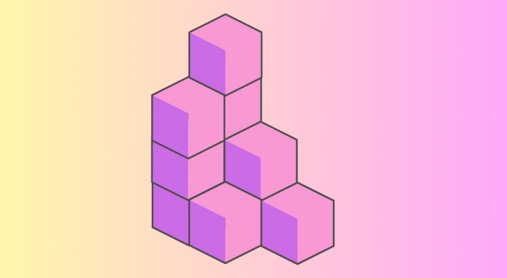 Het logicaraadsel met blokken waar je intelligentie op de proef wordt gesteld